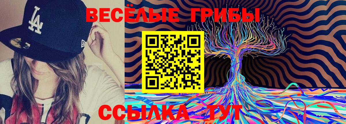 Галлюциногенные грибы ЛСД  купить закладку  Учалы  Вход с VPN 