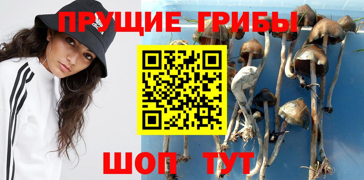 Галлюциногенные грибы Cubensis Учалы